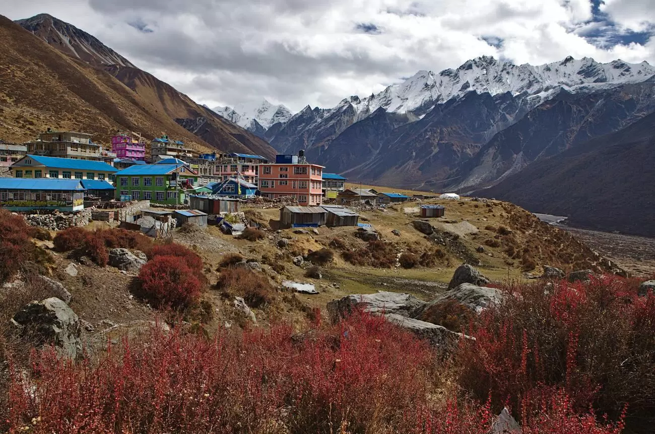 Langtang-Gosaikunda Lake-Chisapani Trekking