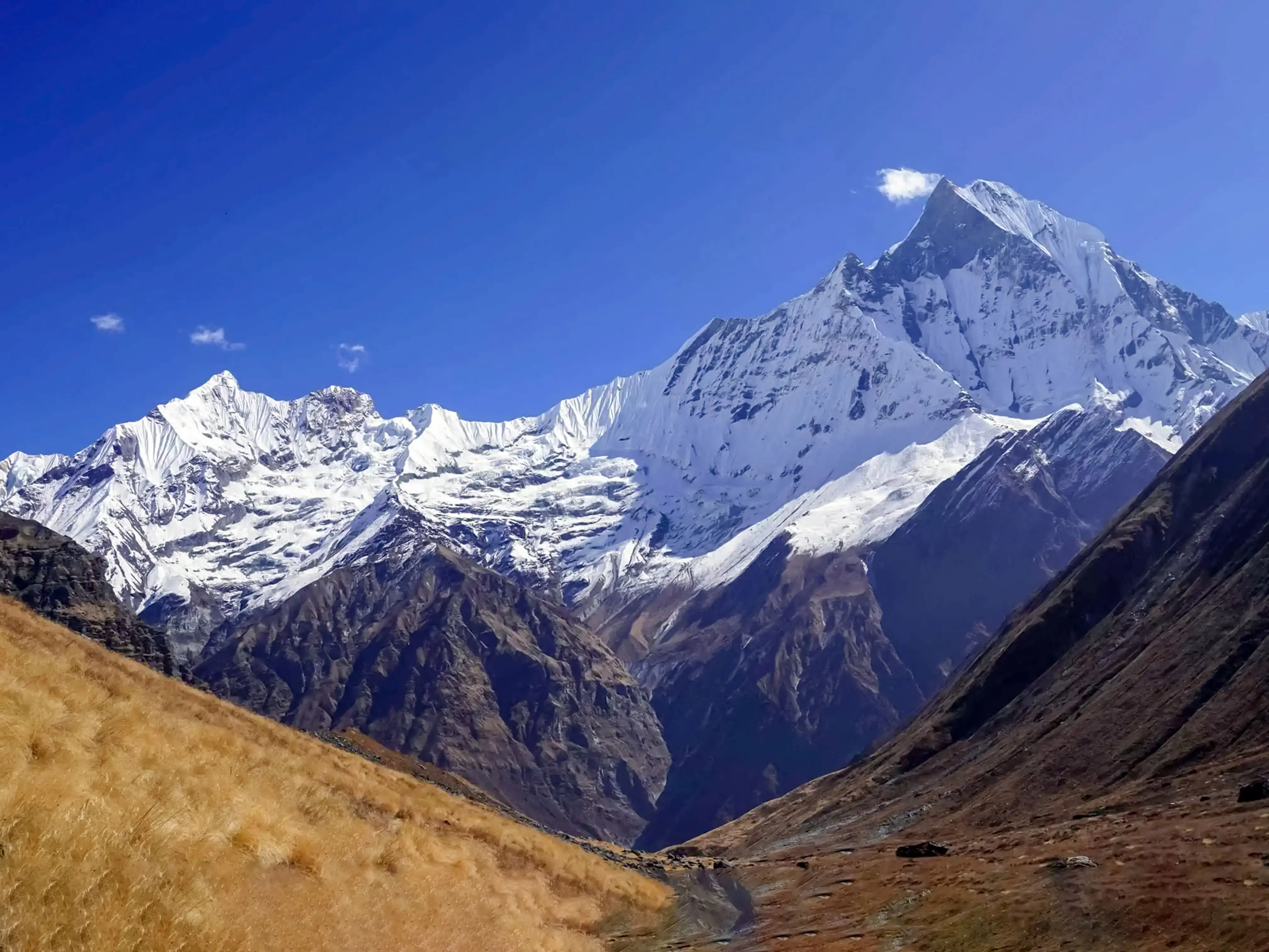 Ghorepani-Poon Hill-Ghandruk trekking