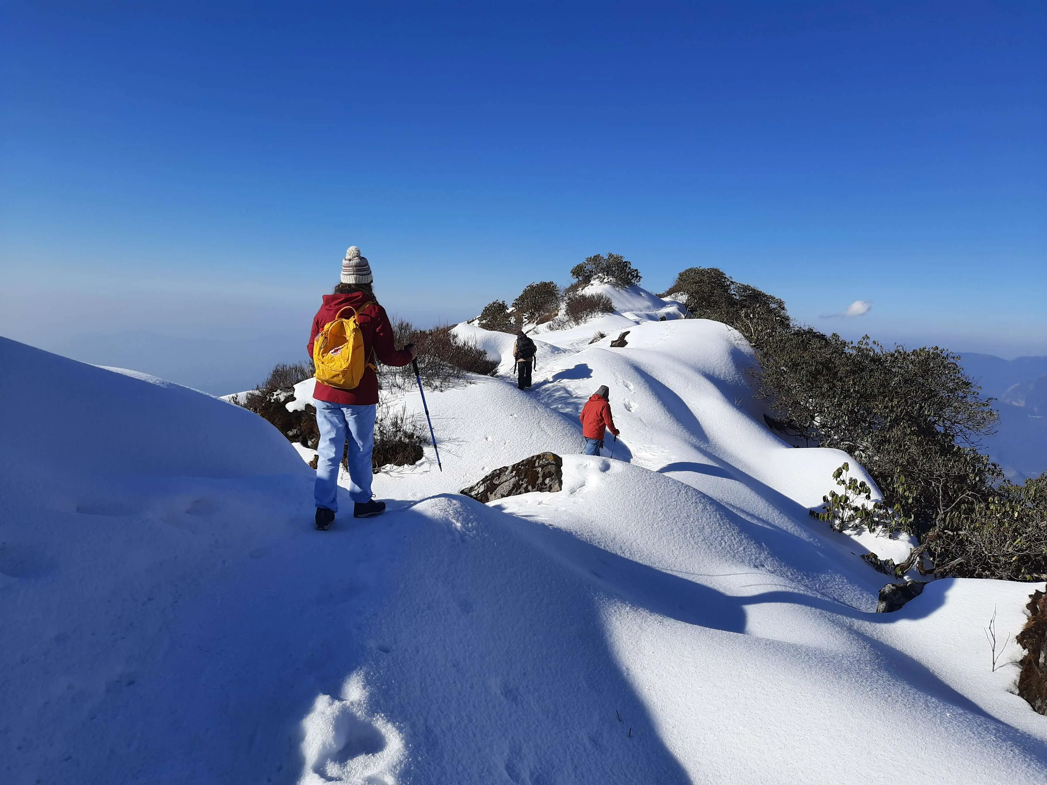 Mardi Himal trekking